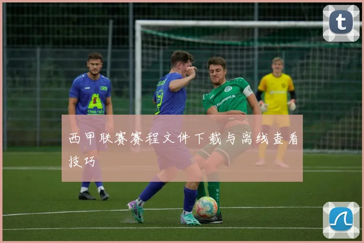 西甲联赛赛程文件下载与离线查看技巧