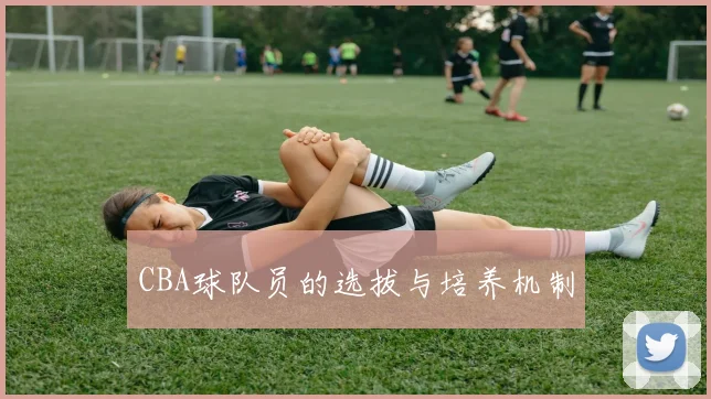 CBA球队员的选拔与培养机制