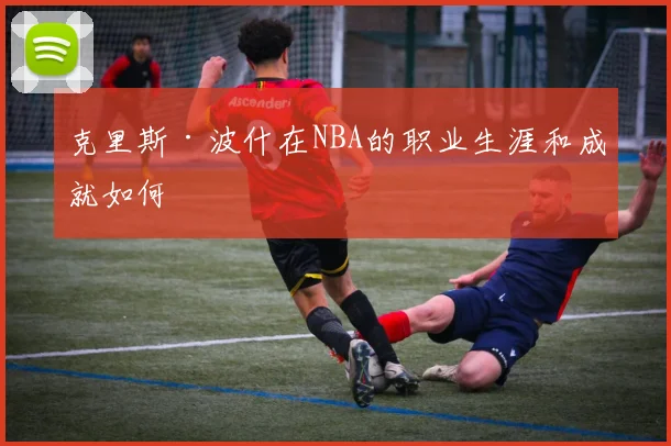 克里斯·波什在NBA的职业生涯和成就如何