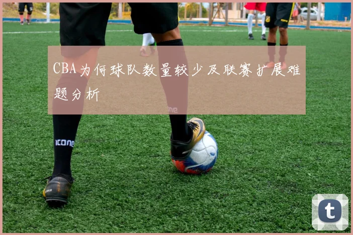 CBA为何球队数量较少及联赛扩展难题分析