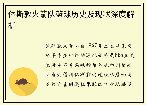 休斯敦火箭队篮球历史及现状深度解析